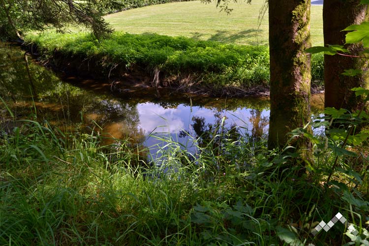 LA RIVELAINE-31